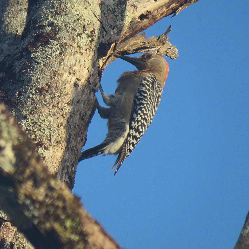 EL VALLE REAL ESTAT SQ PHOTOS – 1