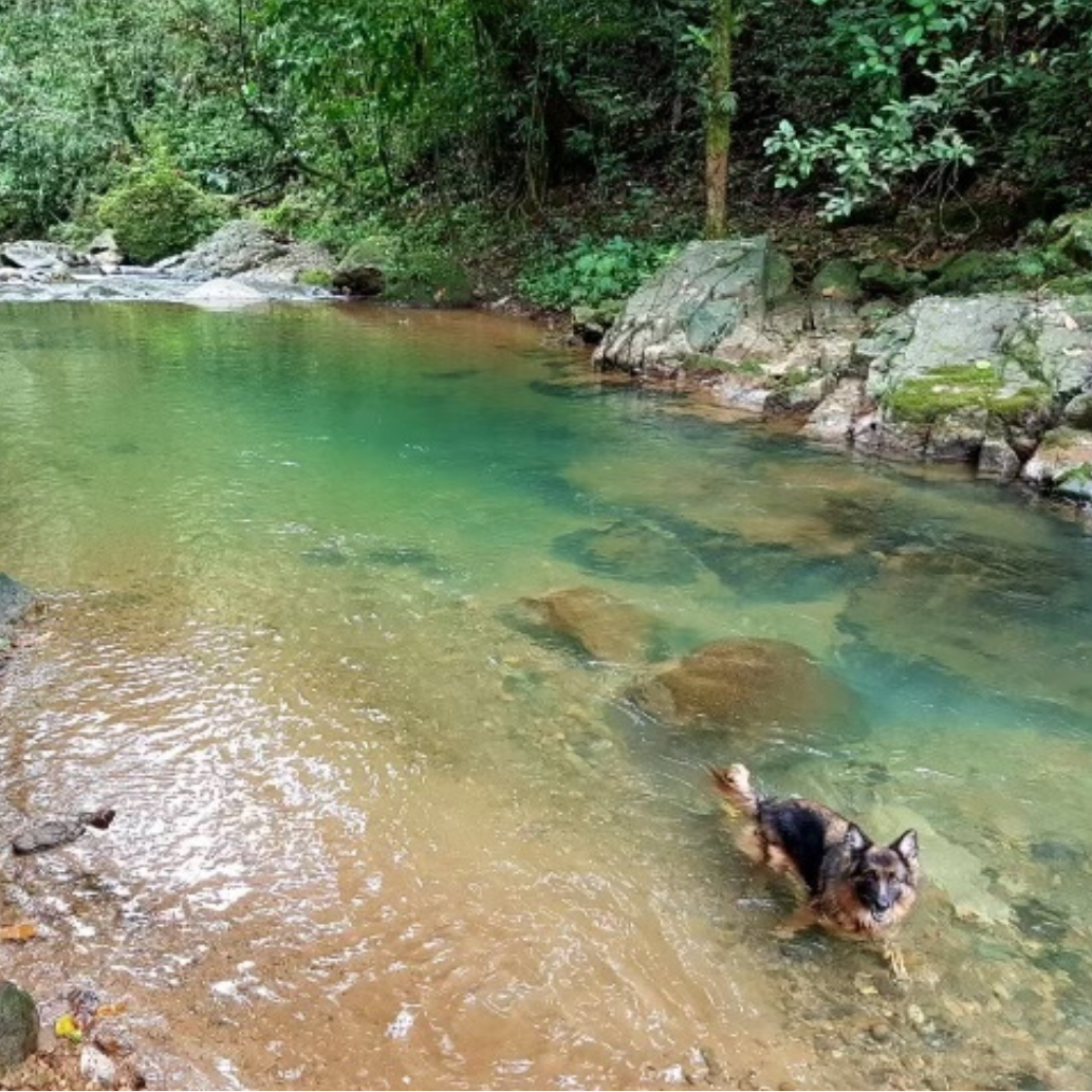 EL VALLE REAL ESTAT SQ PHOTOS – 2